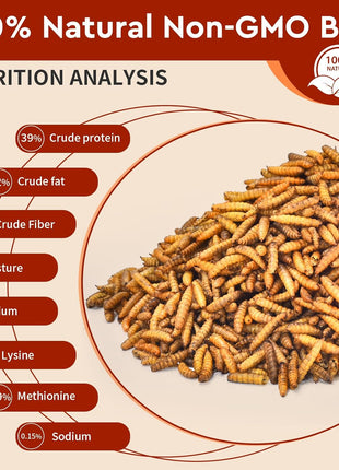 Dried Black Soldier Fly Larvae 10LB, 100% Natural Non-GMO, No Additives, Treat for Chickens, Reptiles and Birds, More Calcium Than Mealworms