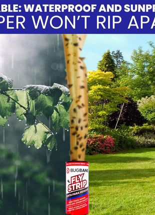 Fly Strips Indoor Sticky Hanging 24pk with Pins. Non Toxic Outdoor Fly Trap Indoor for Home. Flies Tape Paper Trap Ribbon Roll for House Gnat Fruit and Housefly. Bug Catchers for Inside Home Flypaper