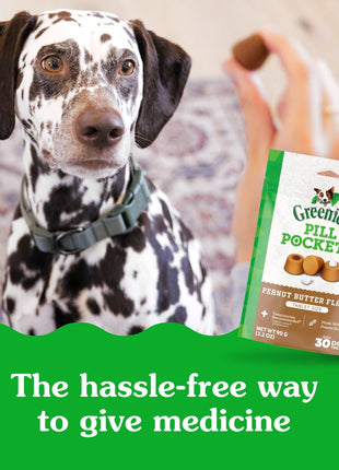 Greenies Pill Pockets Large Size Dog Treats, Peanut Butter, 15.8 oz | Vet-recommended, capsule size, low calorie, odor masking, stress- and mess-free medication experience