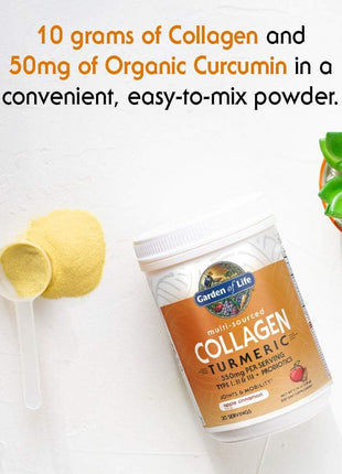 Garden of Life Multi-Sourced Collagen Powder with Turmeric, Apple Cinnamon | Collagen Peptides with Turmeric Powder, Supplement Drink Mix