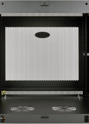 Tripp Lite 9U Wall Mount Rack Enclosure Server Cabinet, 20.5 in. Deep, Switch-Depth (SRW9UDP)