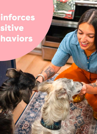 Pupford Freeze Dried Training Treats for Dogs & Puppies, 475+ Three Ingredient Bites (Beef Liver, 4 oz)