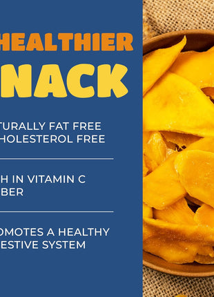 Dried Mango Slices - Delicious Texture Soft & Juicy Low Sugar Added Dried Mango - Naturally Ripened Mangos Dried Fruits - Gluten Free Dry Mangoes Natural Source of Vitamin C, Fiber, 16 oz (16 Single Pack)