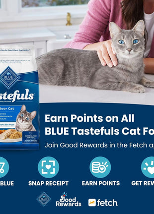 Blue Buffalo Tastefuls Natural Dry Food for Adult Cats 7+,Hairball Control,Chicken & Brown Rice Recipe,7-lb. Bag,(Pack of 2)