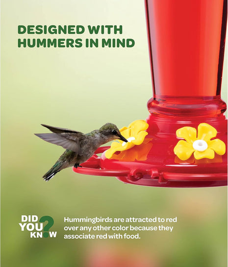 Hummingbird Feeder 10 oz [Set of 2] Plastic Hummingbird Feeders for Outdoors, with Built-in Ant Guard - Circular Perch with 5 Feeding Ports - Wide Mouth for Easy Filling/2 Part Base for Easy Cleaning