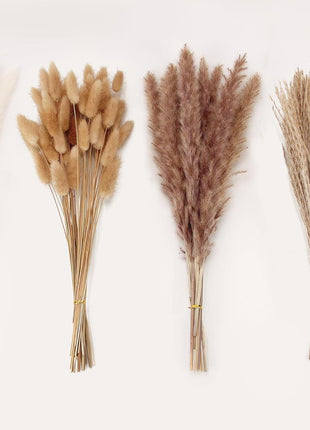 Dried Pampas Grass Decor, 100 Stems Pampas Grass Contains Bunny Tails Dried Flowers, Reed Grass Bouquet for Wedding Boho Flowers Home Table Decor, Rustic Farmhouse Party (17 inch, White and Brown)