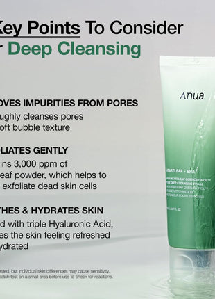 Anua Heartleaf Quercetinol Pore Deep Cleansing Foam, Face wash for Pore Refining Cleanser, Hydrating Daily Facial Cleanser For Double Cleansing, Gentle Foaming with BHA, Korean Skincare, 5.07 fl.oz.