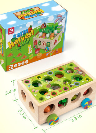 Coogam Montessori Fine Motor Toys for Baby Toddler, Wooden Shape Sorter Carrot Harvest Game for Easter Basket Stuffer, Preschool Learning Educational Gift Toy for 3 4 5 Year Old