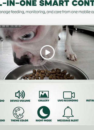 Automatic Cat Feeder with 1080P HD Camera Timed Dry Food Dispenser for Cats and Dogs, App Control, 6L Capacity, Portion Control, Scheduled Meals, Two-Way Audio
