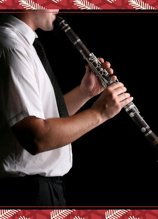 Eastar B Flat Clarinet for Beginner, Ebonite Clarinet Nickel-plated with 2 Barrels, 3 Reeds, White Gloves, Hard Case, Cleaning Kt, ECL-300