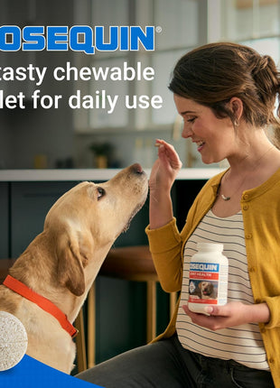 Nutramax Cosequin for Dogs Joint Health Supplement, Contains Glucosamine for Dogs, Plus Chondroitin and MSM, Supports Healthy Joints, For All Breeds and Sizes, Chewable Tablets, 132 Count