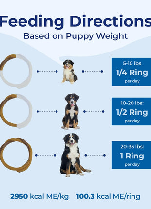N-Bone Puppy Teething Ring Chicken Flavor (1 Pack Of 6 Rings) (113048)
