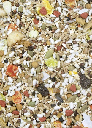 Higgins 2 Pack of Safflower Gold Natural Blend Conure and Cockatiel Food, 3 Pounds Each