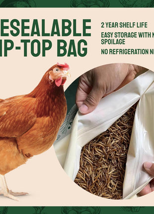 Hatortempt Bulk Dried Mealworms - 10 Lb Bag - Non-GMO Dried Mealworms for Chickens, Ducks & Wild Birds - High-Protein Chicken Feed & Bird Food