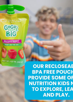 GoGo squeeZ BIG Applesauce & Fruit Puree with Vanilla and Cinnamon Variety Pack, Pear & Raspberry, 4.2 oz. (Pack of 20), Unsweetened Fruit Snacks for Kids, Gluten Free, Nut Free, Dairy Free Pouches