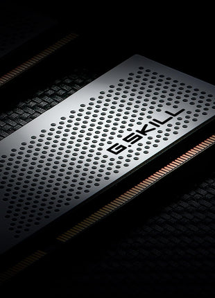 G.SKILL Ripjaws S5 Series DDR5 RAM (Intel XMP 3.0 & AMD Expo) 32GB (2x16GB) 5200MT/s CL40-40-40-83 1.10V Desktop Computer Memory U-DIMM - Matte White (F5-5200J4040A16GX2-RS5W)