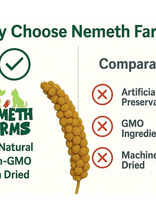 Nemeth Farms Spray Millet - Edible Tops Only, Non-GMO and Sun-Dried - 1 lb for Parakeets, Canaries and Finches