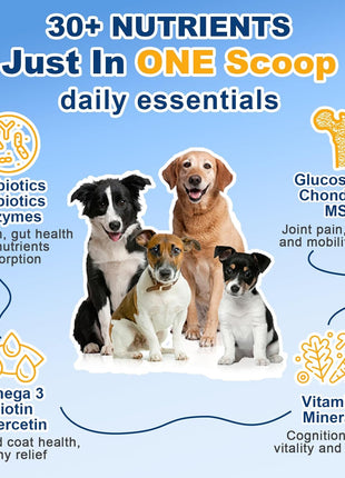 Probiotics for Dogs, Dog Probiotics for Digestive Health, Dog Vitamins, Dog Multivitamin Powder