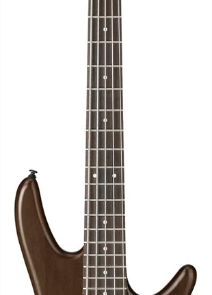 Ibanez GSR205BWNF GIO   Walnut Flat