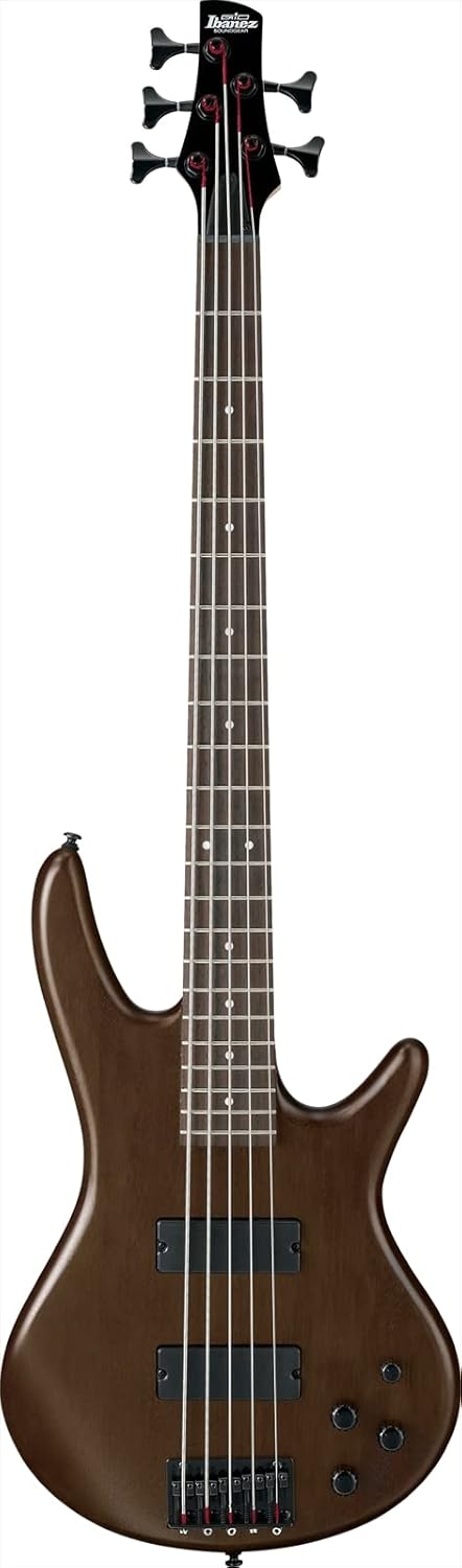 Ibanez GSR205BWNF GIO   Walnut Flat