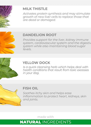 Milk Thistle + 10 in 1 Multivitamin for Dogs - Liver Support, Skin and Coat Health, Digestive Health, Hip and Joint Support and Heart Health.