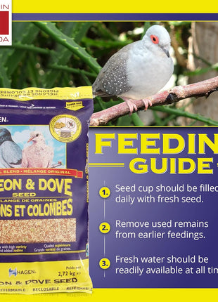 Hagen Pigeon & Dove Seed, Original Formula Bird Food, 6 lb Bag 芒聙聯 Nutritionally Complete Seed Mix with Vitamins & Minerals 芒聙聯 Wild & Captive Bird Diet 芒聙聯 Insect-Resistant Air-Tight Packaging