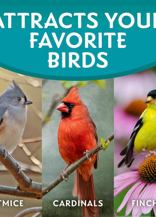 Morning Song Clean & Free Shell Free Wild Bird Food, Premium No Mess Bird Seed for Outside Feeders, 10-Pound Bag