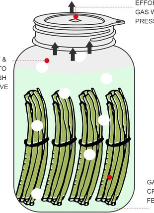 Sophico Silicone Fermenting Lids, Waterless Airlock Fermentation Tops Mason Jar Lid Fermenter Caps for Pickles, Kimchi, and Fermented Probiotic Food   4 Pack, Wide Mouth (Jars Not Included)