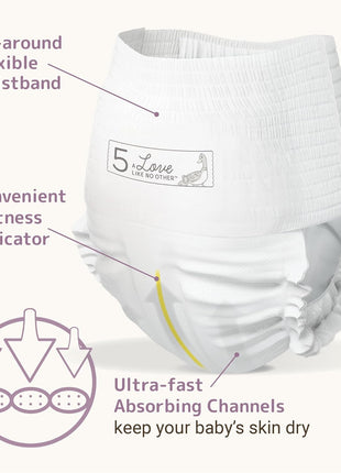 Bambo Nature Premium Eco-friendly Training Pants, Size 5 (27-40 Lbs), 20 Count