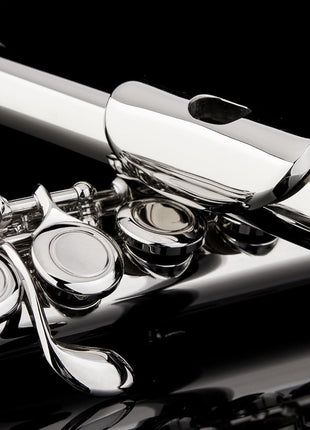 Glory Closed Hole C Flute With Case, Tuning Rod,Joint Grease and Cloth, Gloves, Nickel Siver