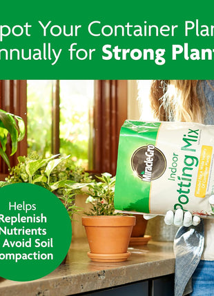 Miracle-Gro Indoor Potting Mix, Blended for a Variety of Houseplants, Feeds for up to 6 Months, 6 qt., 2-Pack