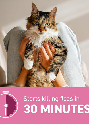 Capstar (nitenpyram) Cat Flea Treatment, Fast-Acting Oral Flea Treatment for Cats 2-25 lbs, Vet-Recommended Medication Tablets Start Killing in 30 Minutes, 6 Doses