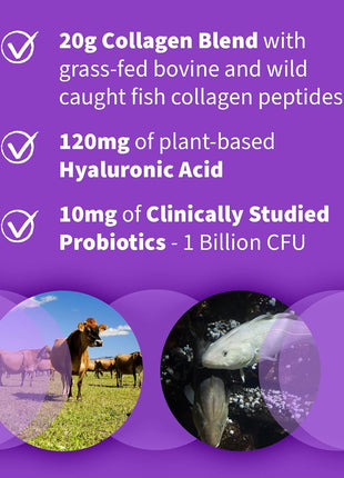 Garden of Life Marine & Grass-Fed Collagen Peptides Powder Supplement (Type I, III) with Probiotics, BCAAs & Hyaluronic Acid for Radiant Hair, Skin & Nails – Unflavored, 20g per serving, 12 Servings