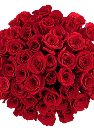 Benchmark Bouquets - 50 Stem Premium Red Roses (2 Bundles of 25; Vase Not Included) - Fresh Flowers for Delivery - Gift for Graduation, Birthday, Anniversary, Sympathy, Get Well, Congratulations