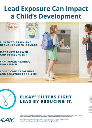 Elkay WaterSentry 51300C Lead + Microplastics NSF/ANSI Certified Filter (Bottle Fillers)