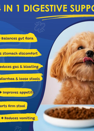 Probiotics & Salmon Fish Oil for Dogs Skin and Coat & Digestive Health