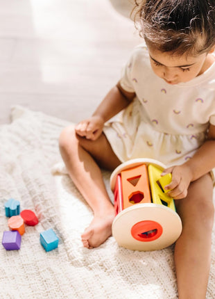 Melissa & Doug Match and Roll Shape Sorter - Classic Wooden Toy