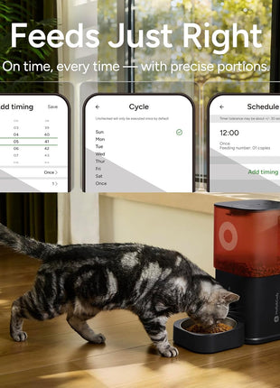 Automatic Cat Feeder with Camera: 6L Automatic Dog Feeder with 2-Way Audio Night Vision Dual Power Supply App Control 2.4G WiFi, Timed Auto Cat Food Dispenser with Stainless Steel Bowl (White)