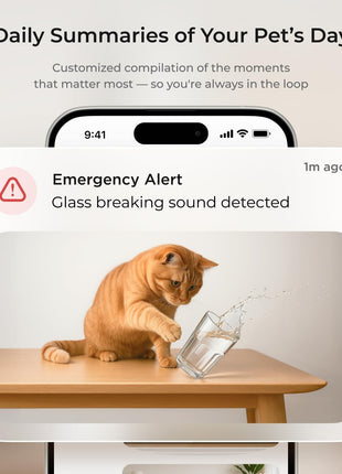 Petcube Cam 360 Camera Interactive WiFi Pet and Home Security Pan-Tilt Camera with Phone App, 1080p HD Video, 360° Rotation, Night Vision, AI Alerts