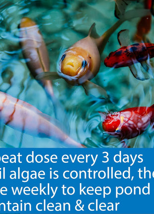 API POND ALGAEFIX Algae Control 1-Gallon Bottle
