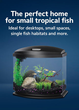 Aqueon LED MiniBow Small Aquarium Fish Tank Kit with SmartClean Technology, Black, 5 Gallon