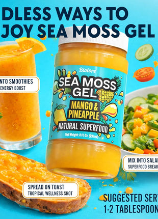 Biolore Sea Moss Gel Mango-Pineapple Made in USA Raw Wildcrafted Irish Seamoss Essential Vitamins Trace Minerals Vegan Superfood, Jam, Jelly & Sweet Spread Gifts (Mango-Pineapple 8OZ)