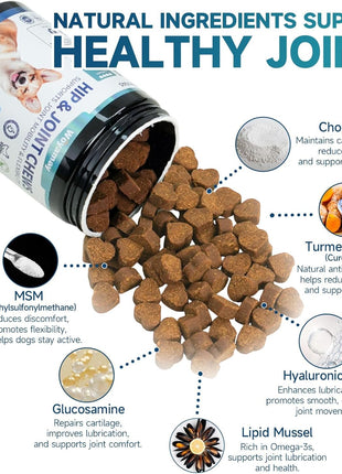 Dual-Action Dog Probiotics & Hip/Joint Supplement - 200 Soft Chews with Glucosamine, Chondroitin, MSM, Probiotics for Digestion, Immune & Joint Health, Gas Relief, Chicken Flavor (All Ages/Breeds)