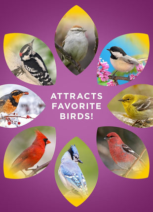 Audubon Park Nut & Fruit Wild Bird Seed – 15 lb. Premium Blend with Sunflower Seeds, Peanuts, Safflower & Dried Fruit – Bird Food for Outside Feeders
