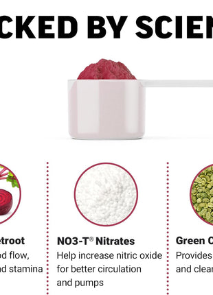 Force Factor Total Beets Pre-Workout Powder to Boost Energy & Endurance | Increase Strength, Improve Blood Flow & Pumps, Nitric Oxide Supplement with Beet Root Powder, Fruit Punch, 30 Servings