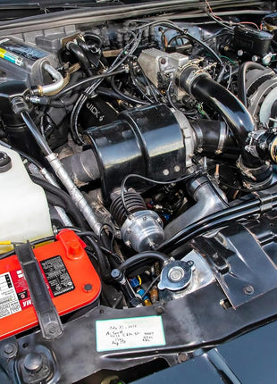 OPTIMA?Batteries High Performance 6V REDTOP?Sealed AGM 6V Battery