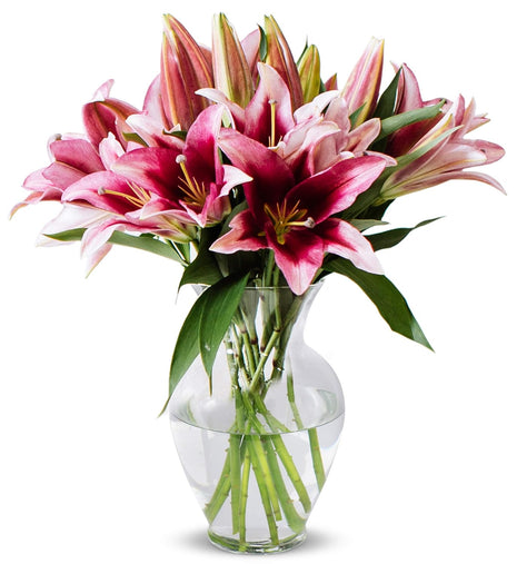 Benchmark Bouquets - 8 Stem Pink Oriental Lilies (Glass Vase Included) - Fresh Flowers for Next Day Delivery - Gift for Christmas, Birthday, Anniversary, Sympathy, Get Well, Congratulations