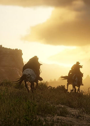 Red Dead Redemption 2 (PS4)