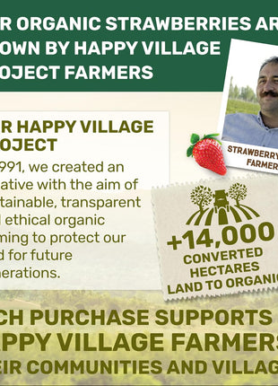 Happy Village Organic Whole Dried Strawberries, 18 OZ Resealable Pack- Soft & Juicy, Kosher, Non-GMO, No Refined Sugar, Apple Juice Infused Dried Strawberry