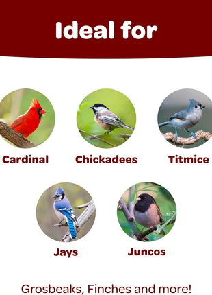 Kaytee Songbird Wild Bird Seed Food, Blended for Grosbeaks, Chickadees, Titmice, Cardinals, Nuthatches & More, 7 Pounds